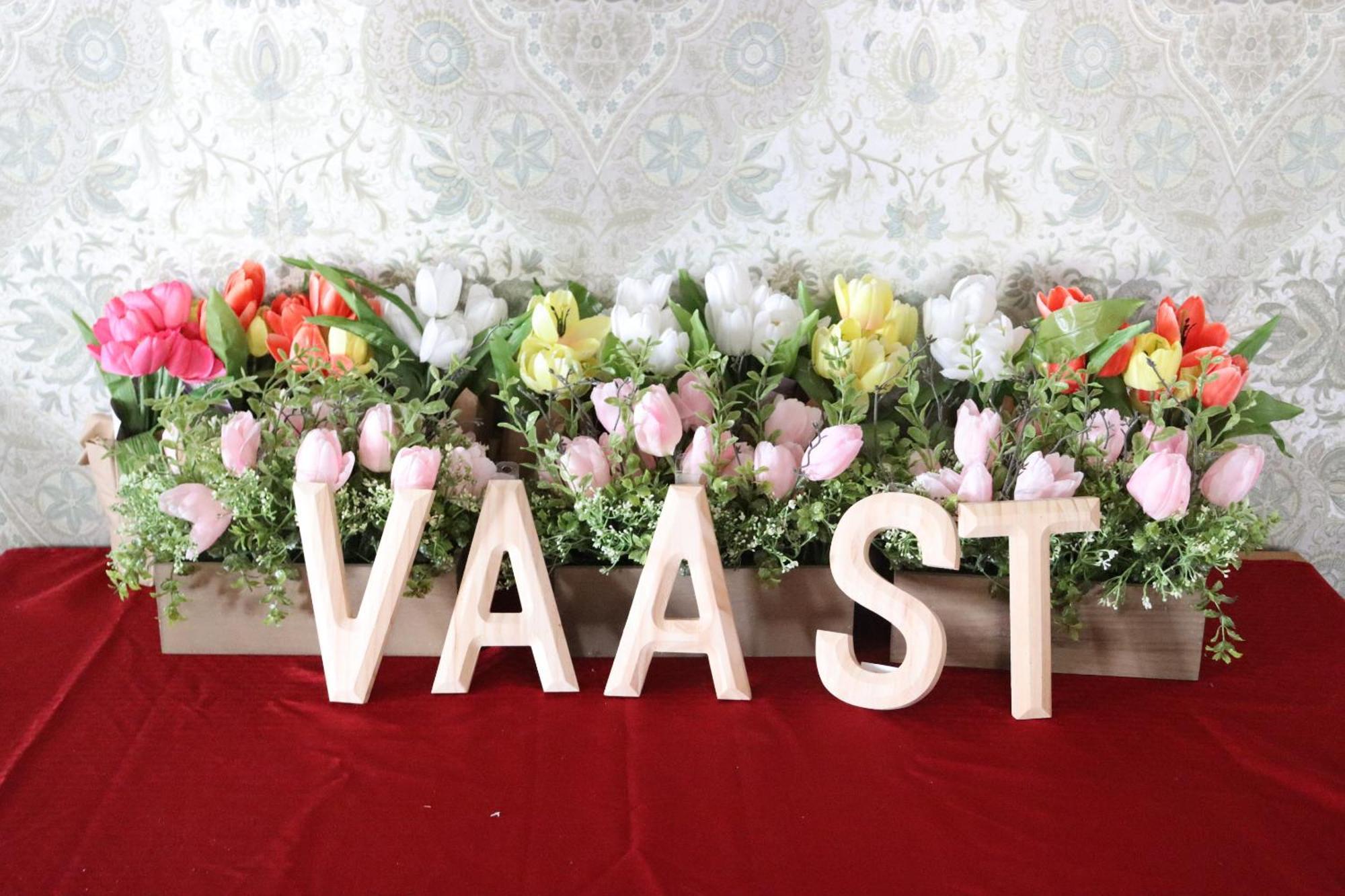 Vaast Bed & Breakfast Adamstown Экстерьер фото